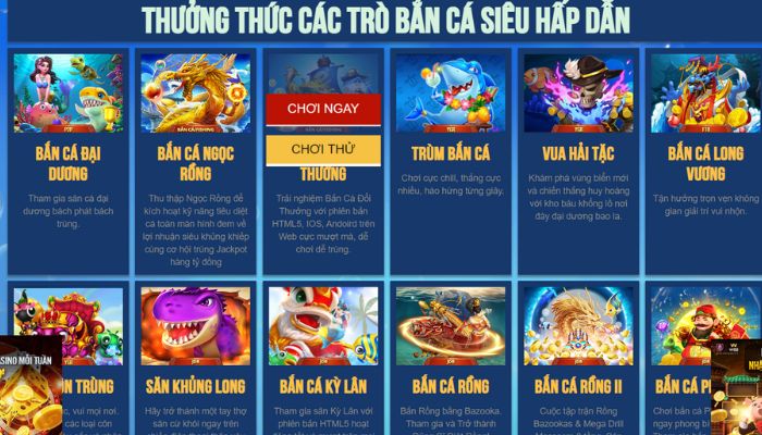 Giới Thiệu Khái Quát Về Bancavn 